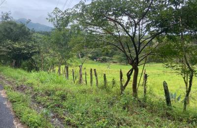 SPACIOUS LAND IN LA ESTRELLA